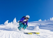 表现优异引爆全场！，德约科维奇意外战胜曼联气势如虹延续